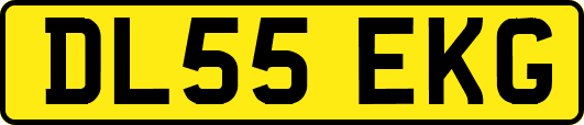 DL55EKG