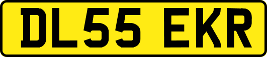 DL55EKR