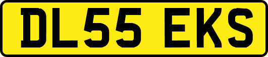 DL55EKS