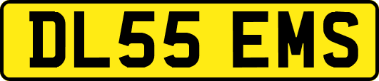 DL55EMS