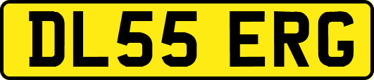 DL55ERG