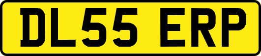 DL55ERP