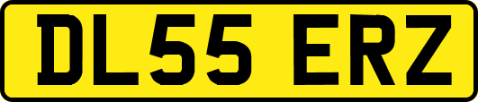 DL55ERZ