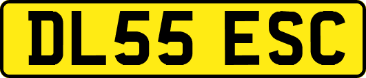 DL55ESC