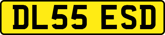 DL55ESD