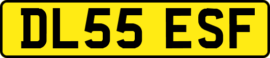 DL55ESF