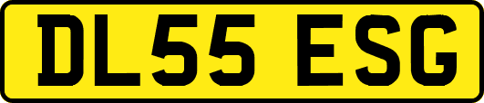 DL55ESG