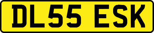 DL55ESK