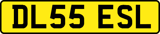 DL55ESL