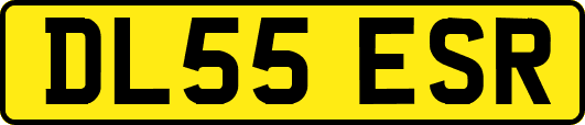 DL55ESR