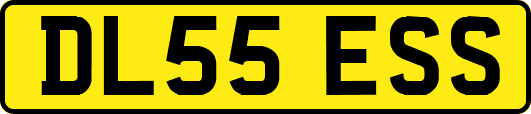 DL55ESS