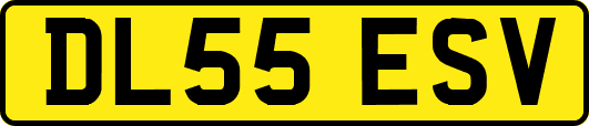 DL55ESV
