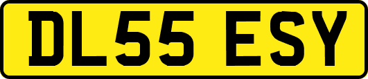 DL55ESY