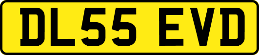 DL55EVD