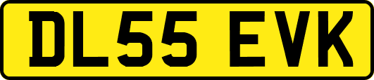 DL55EVK