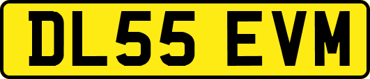 DL55EVM