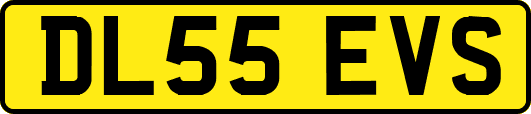 DL55EVS