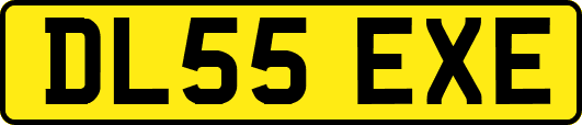 DL55EXE