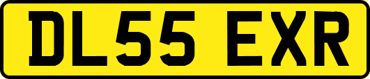 DL55EXR