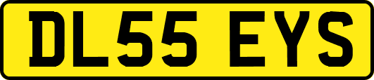 DL55EYS