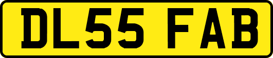 DL55FAB