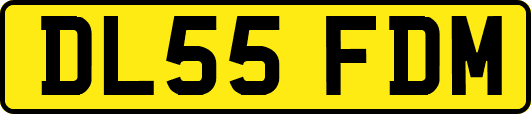 DL55FDM