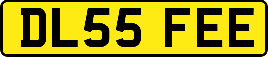DL55FEE