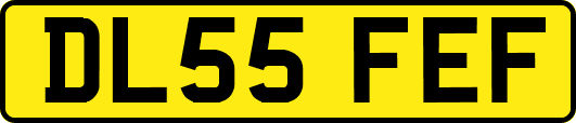 DL55FEF