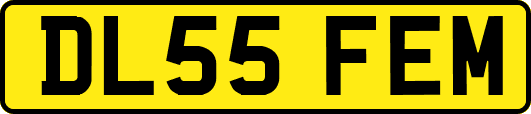 DL55FEM
