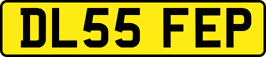 DL55FEP