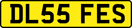 DL55FES