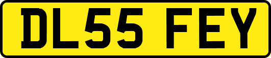 DL55FEY