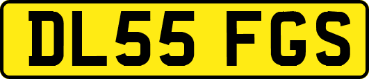 DL55FGS