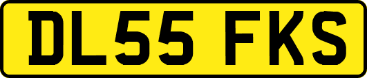 DL55FKS