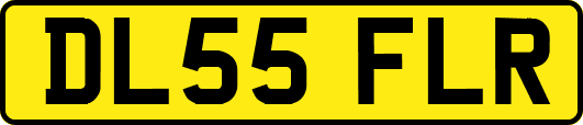 DL55FLR