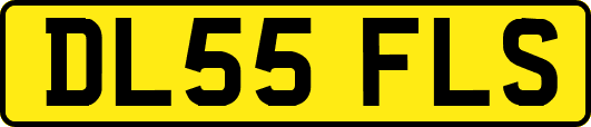 DL55FLS