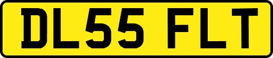 DL55FLT