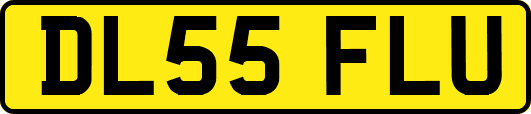 DL55FLU