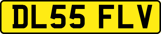 DL55FLV