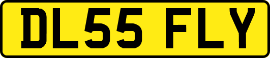 DL55FLY