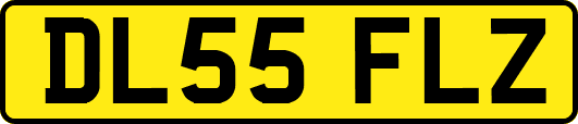 DL55FLZ