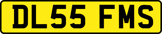 DL55FMS