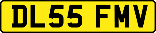 DL55FMV