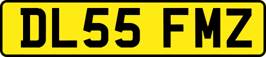 DL55FMZ