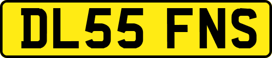 DL55FNS