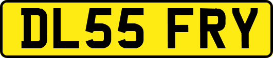 DL55FRY