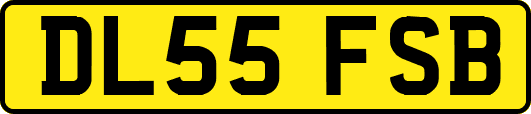 DL55FSB