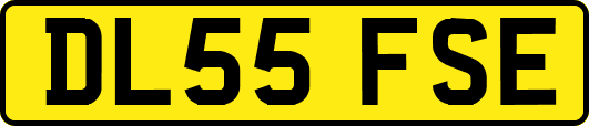 DL55FSE