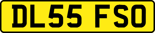 DL55FSO