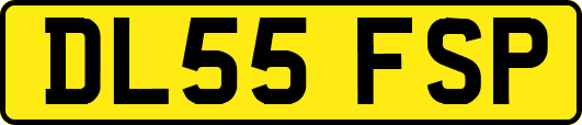 DL55FSP